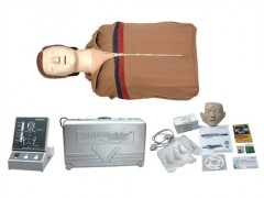 半身心肺复苏模拟人，心肺复苏训练模型，电力急救模拟人
