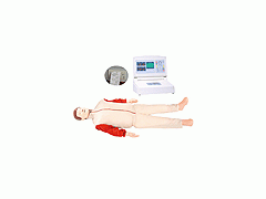 2010版心肺复苏模拟人,国际新徒手心肺复苏术操作训练模型