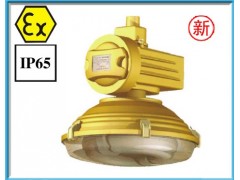 SBD1105-YQL120免维护防爆节能灯 防爆无极灯