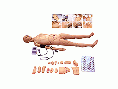 护理人体模型,全功能护理人模型带血压测量