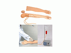 输液手臂模型,手臂静脉穿刺及肌肉注射训练模型