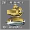 SBD1105-YQL120 免维护节能防爆灯