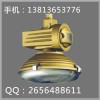 SBF6105-YQL50 免维护节能防水防尘防腐灯