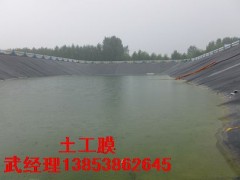 安徽藕池养殖池防渗膜