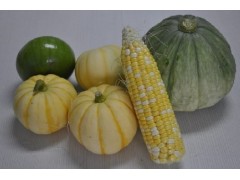 有机蔬菜种植技术 有机蔬菜的种植 有机蔬菜加盟