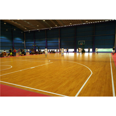 广州硅PU篮球场施工建设及塑胶篮球场材料生产厂家