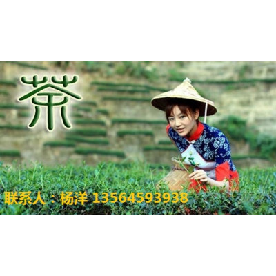 2019上海国际茶业交易（秋季）博览会-上海茶叶展会
