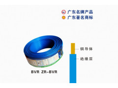 ZC-IV-BVR2.5平方