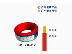 ZC-IV-BV-2.5平方单支线