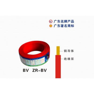 ZC-IV-BV-2.5平方单支线
