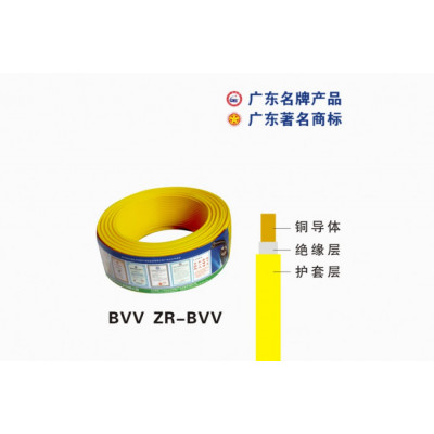 ZC-IV-BVV双绝缘电缆