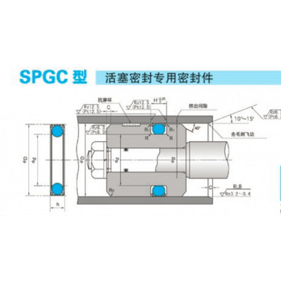 日本NOK品牌SPGW和SPGC型耐磨密封圈