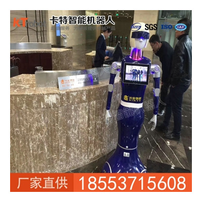 智能人形蓝豆机器人,自由度人形机器人,迎宾机器人供应商