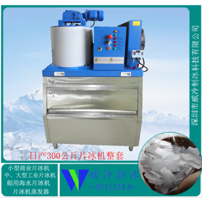 郑州300公斤小型商用片冰机
