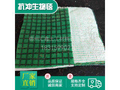 高效生物净化毯 水保植生毯 河堤边坡防护治理用抗冲生物毯