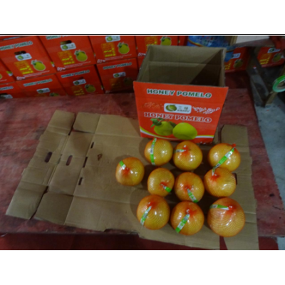 水果验货，水果检验标准，第三方验货公司
