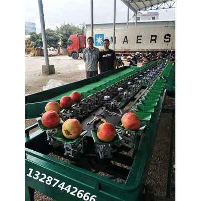 广东火龙果重量分级设备 水果分选机一机多用 适用于多种水果