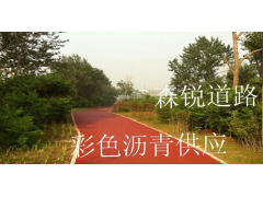 浙江省杭州市彩色沥青路面施工喷涂多少一平方？