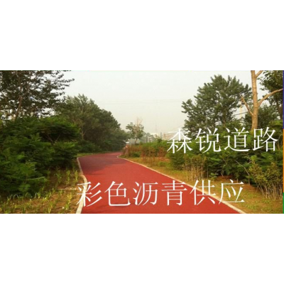 浙江省杭州市彩色沥青路面施工喷涂多少一平方？