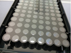 百千生物TC处理标准全黑底透明细胞培养板96孔黑色底透板