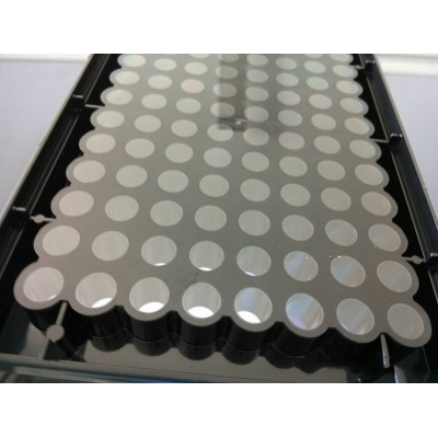 百千生物TC处理标准全黑底透明细胞培养板96孔黑色底透板