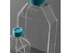 百千生物多聚赖氨酸包被培养瓶75cm²培养瓶250ml透气盖