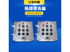 粉塵BXK系列防爆控制箱 IIC級不銹鋼 脈沖控制儀表控制箱