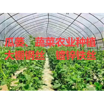 瓜蒌蔬菜农业种植大棚钢丝，镀锌钢绞线