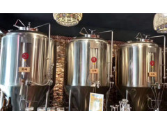 国内精酿啤酒设备  自动化啤酒设备1000升糖化设备