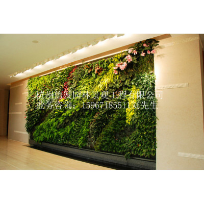 杭州植物墙施工 杭州垂直绿化公司 杭州立体绿化工程