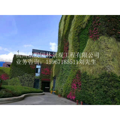 杭州墙面绿化 杭州垂直绿化 杭州墙体绿化 杭州立体绿化公司