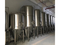 5000升精酿啤酒设备 鲜酿啤酒生产设备啤酒酿酒设备发酵罐