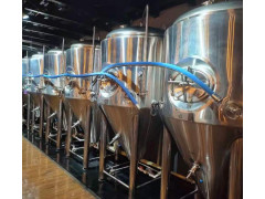 大型啤酒厂酿酒设备 5000吨啤酒设备发酵罐厂家直销