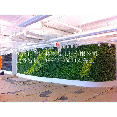 墙面绿化 植物墙公司 垂直绿化公司 立体绿化 墙体绿化施工