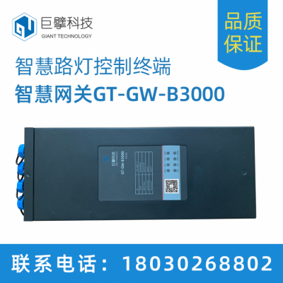 智慧灯杆GT-GW-B3000
