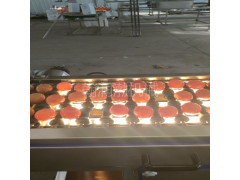 翰润渤GJ-400型光检设备 蛋品裂纹检测机 黑心蛋光检机
