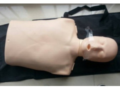 KAY/CPR100A电子版半身心肺复苏模拟人橡皮人体模型