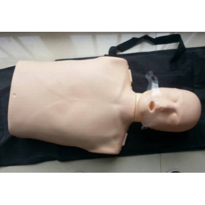 KAY/CPR100A电子版半身心肺复苏模拟人橡皮人体模型