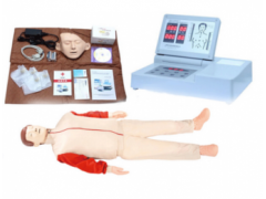 KAY/CPR490全自动电脑心肺复苏模拟人胸外按压模型