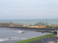 厂家供应杭州萧山高位池海水养虾0.40mm厚HDPE防渗膜